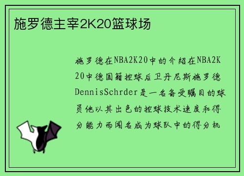 施罗德主宰2K20篮球场